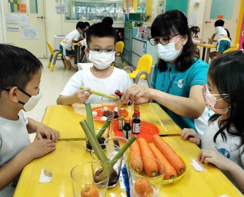 mountbatten-plant-experiment-july-06