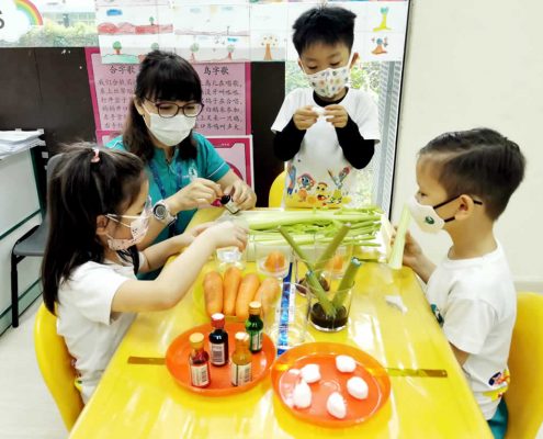 mountbatten-plant-experiment-july-07