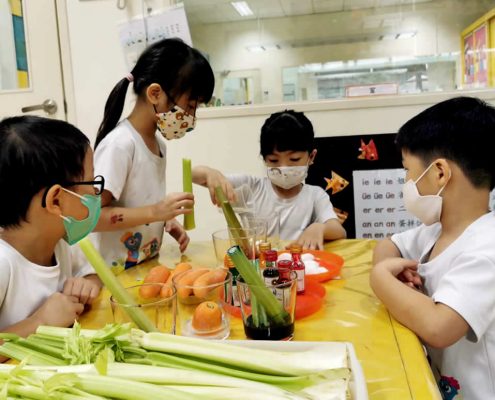 mountbatten-plant-experiment-july-08