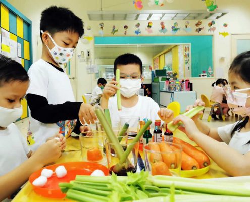 mountbatten-plant-experiment-july-09