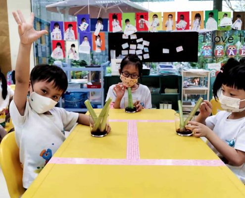 mountbatten-plant-experiment-july-10