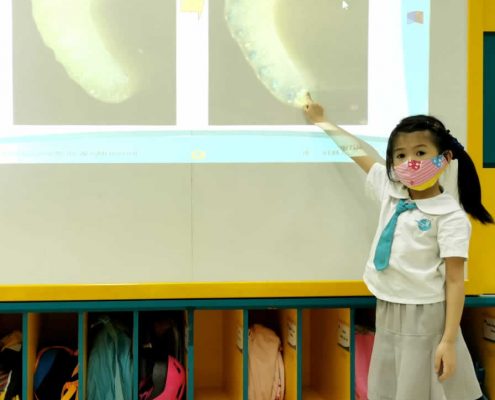 mountbatten-plant-experiment-july-11