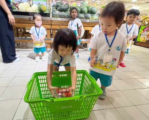 hillview-adventure-supermarket-06