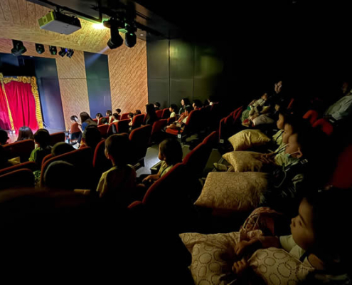 hillview-pinocchio-magic-show-04